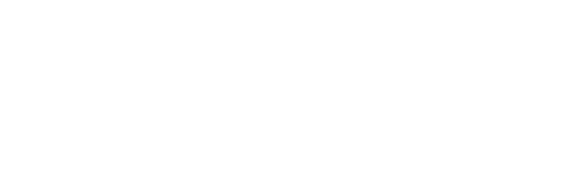 logo 800x262 white transparent